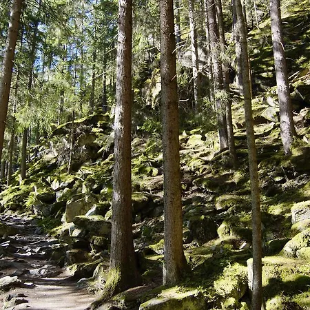 Auszeit アパート ゼルデン