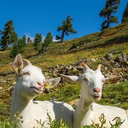 Apartment Auszeit Solden