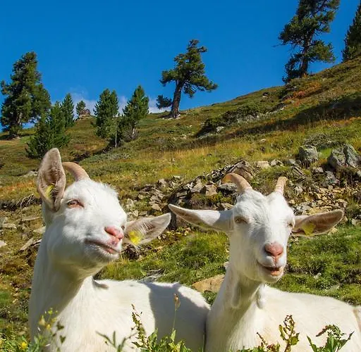 Apartmán Auszeit Sölden